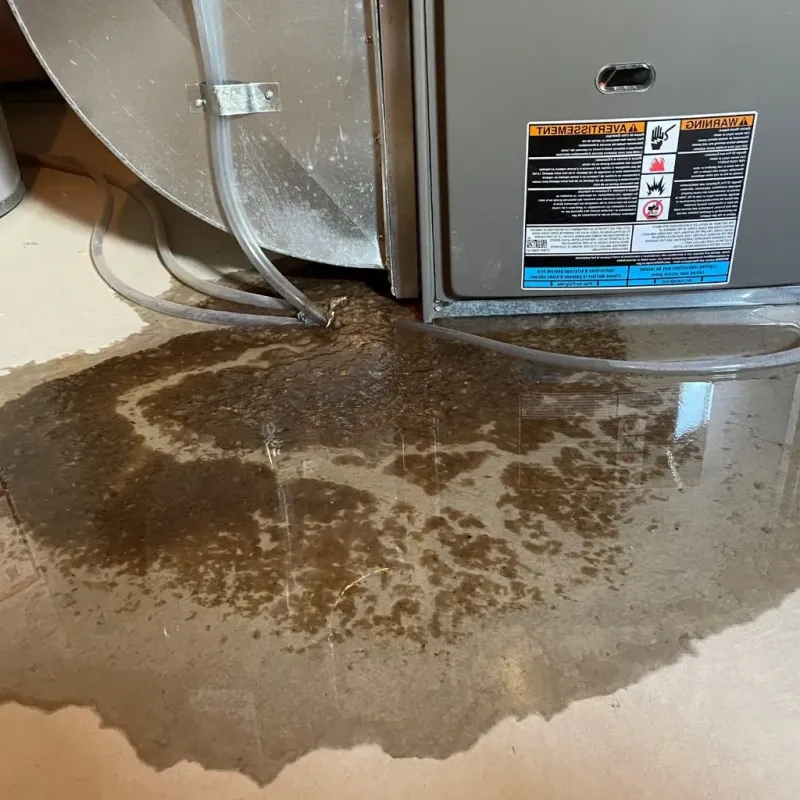 Pipe Burst and Leak Restoration in Slaughterville, OK
